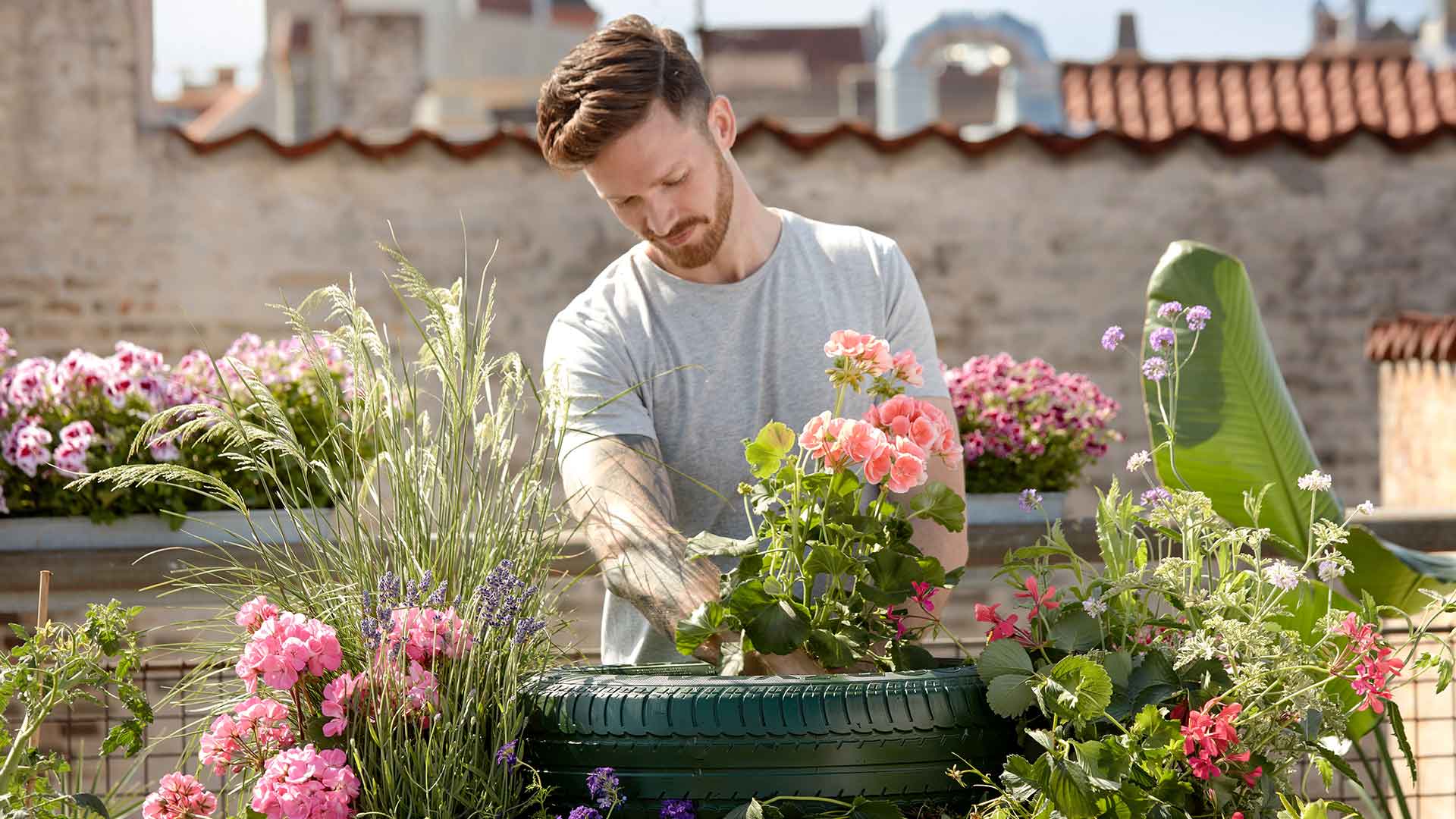 Sidcup's Finest Gardening Services: Transforming Your Outdoor Spaces